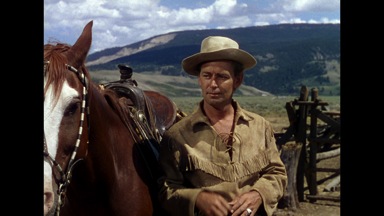 Shane seeks redemption for past sins