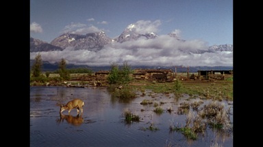 The extraordinary landscape cinematography in Wyoming